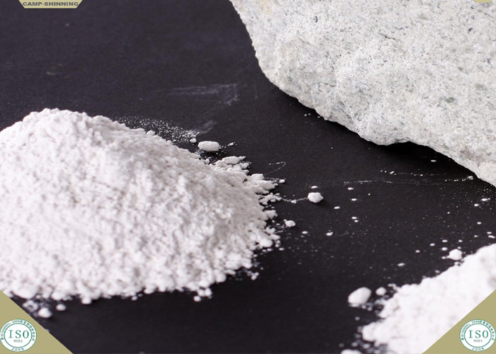 Organoclay-based sealants